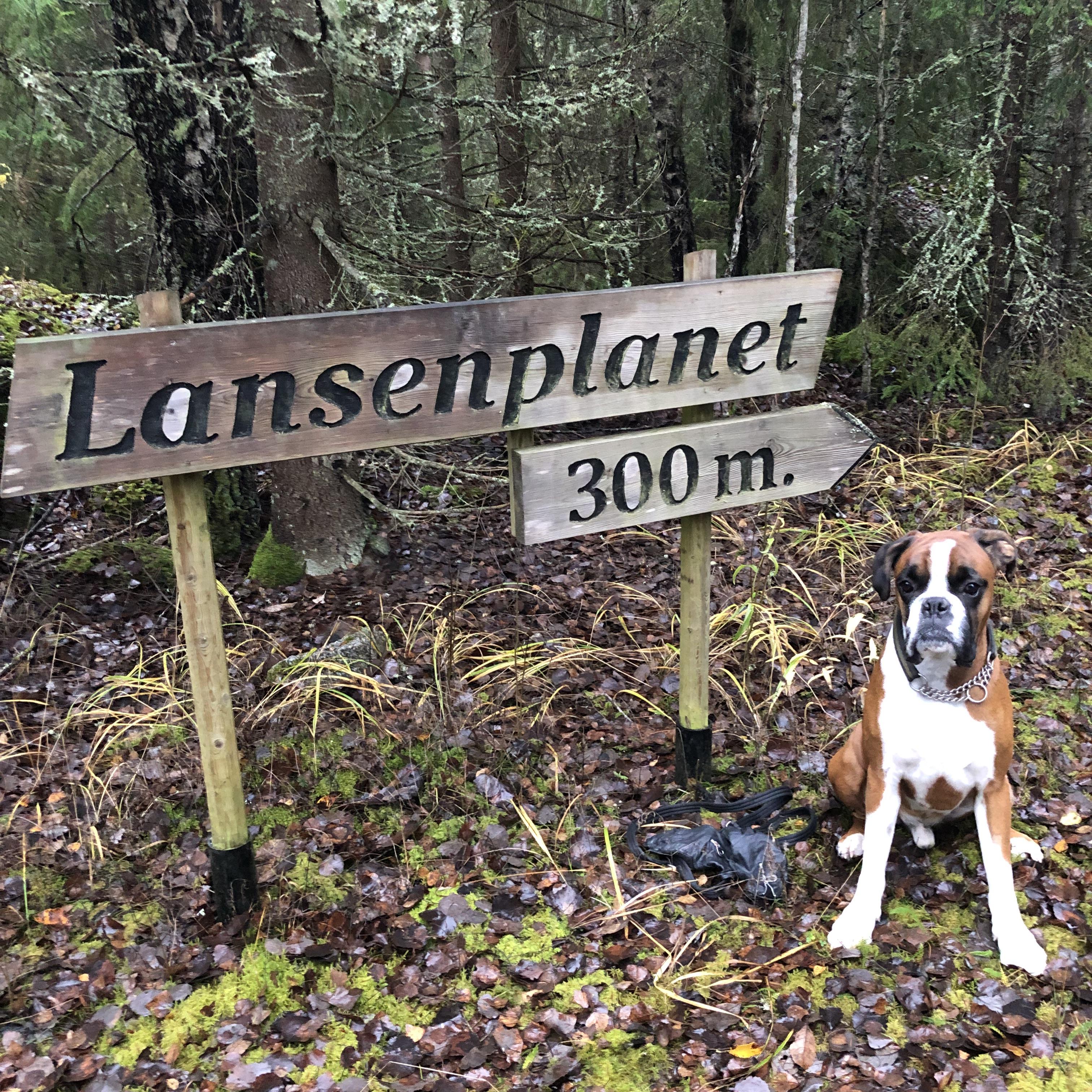Lansenplanet i Ölstabrändan
