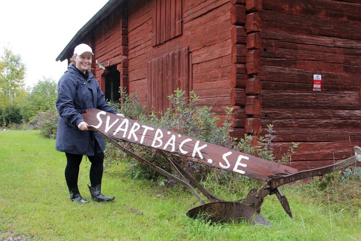 Matmor, facilitator och workshopledare