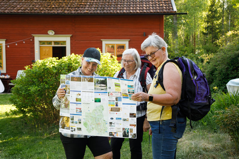 Järndammen i Sala
